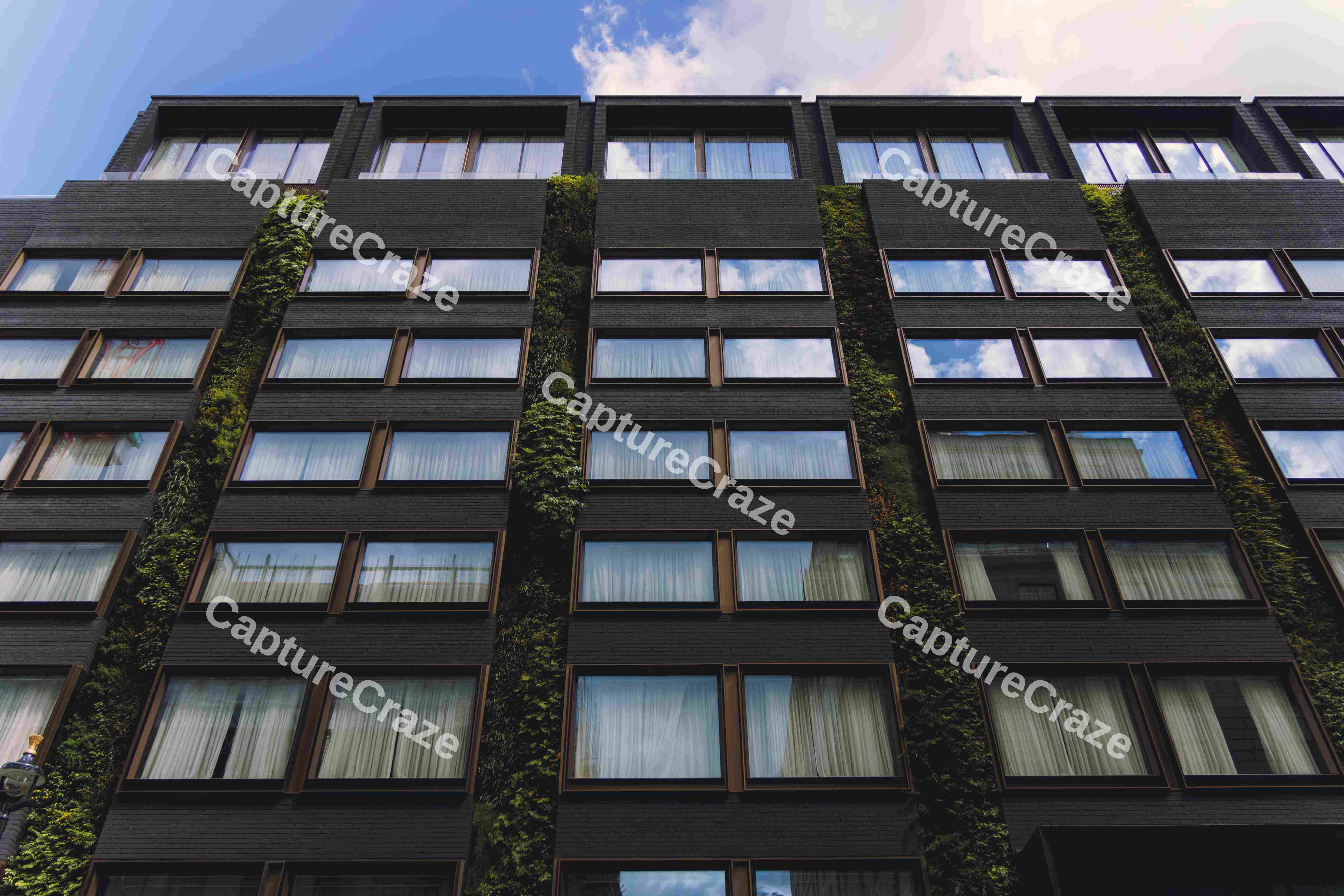 Modern Building With Foliage